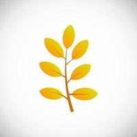 Yellow jocote leaf. Autumn leaf of a tree on a white background. Vector illustration