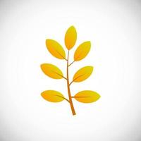 Yellow jocote leaf. Autumn leaf of a tree on a white background. Vector illustration