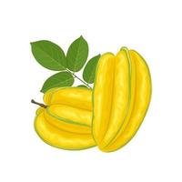 Vector illustration, ripe starfruit or carambola, with green leaves, isolated on white background.