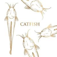 vector painted catfish with golden strokes on white background