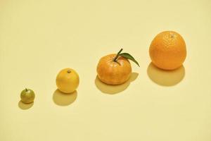 los cítricos tienen un fondo amarillo claro. kumquat, limón, mandarina, naranja están sobre un fondo amarillo - imagen foto