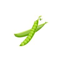 Green peas, rich in vitamins. Vector image. An element for the design