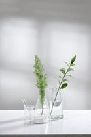 clear water in glass flask and vial with natural green leave in biotechnology science laboratory background