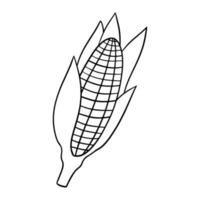 Monochrome image, ripe corn cob, vector illustration in cartoon style on a white background