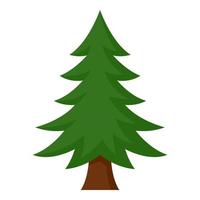 Christmas Tree isolated on white background vector