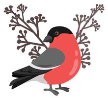 Bullfinch forest bird. Hand drawn vector illustration. Suitable for website, stickers, gift cards, kids products.