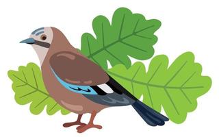 pájaro del bosque jay. ilustración vectorial dibujada a mano. adecuado para sitios web, pegatinas, tarjetas de regalo, productos para niños. vector
