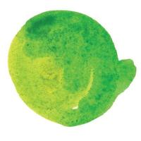 Decorative Green Abstract Watercolor Spot vector