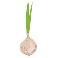 Cartoon icon of onion. Vegetable icon. Fresh, vegetable, and whole with leaf. Onion cartoon vector