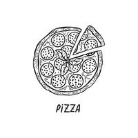 Vector hand-drawn illustration of Italian cuisine. Pizza