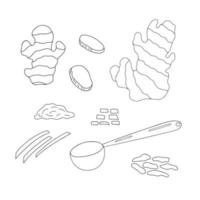 Ginger root, whole, slices and powder in spoon set simple outline vector illustration, Japanese traditional spice culinary ingredient