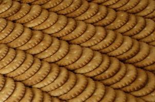 Closeup of salted crackers photo