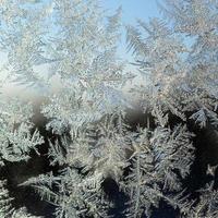 Snowflakes frost rime macro on window glass pane photo