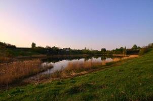 A rural landscape with a wild reed field and a small lake. Ecologically clean place for rest photo