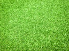 Closeup view of green grass soccer field background. Wallpaper for work and design. photo