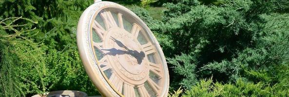 Street clock in a park under branches of trees close up photo