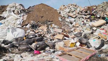 concepto de contaminación. pila de basura en basureros o vertederos. daño global ambiental. residuos de construcción. video