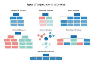 7 tipos de estructuras organizativas para organizar el organigrama de la empresa vector