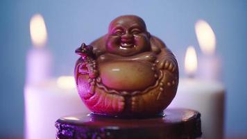 la figurine de thé est versée avec de l'eau chaude et change de couleur. le beau processus de la cérémonie chinoise du thé sur fond de bougies allumées. video