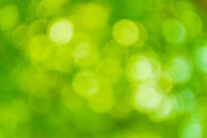 Abstract background, bright green bokeh. photo