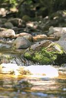 small waterfall hidden in the forest photo