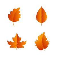 Autumn Element Vector icon design illustration