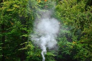 White smoke spreads over the background of forest trees photo