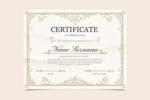 Professional certificate template with elegant elements vector