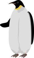 pingüino. pingüino emperador. animal del norte. pingüino ártico vector