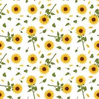 Seamless pattern with yellow sunflowers on white background. Print with element of nature, plant for decoration and design. Vector flat illustration