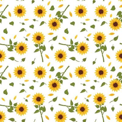 Seamless pattern with yellow sunflowers on white background. Print with element of nature, plant for decoration and design. Vector flat illustration
