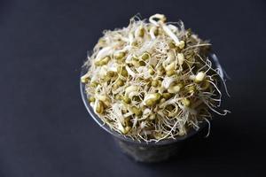 Sprouted chickpea beans with a leaf and roots for salad. Sprouted chickpeas close-up in a salad saucer. photo