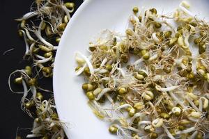 Sprouted chickpea beans with a leaf and roots for salad. Sprouted chickpeas close-up in a salad saucer. photo