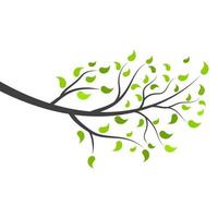 Tree branch vector ilustration design