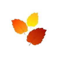 Autumn Element Vector icon design illustration