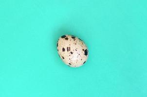 One quail egg on a light green surface, top view, empty place for text. Minimalism photo