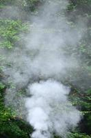 White smoke spreads over the background of forest trees photo