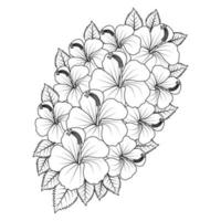 rose of sharon flower coloring page illustration with line art stroke of black and white hand drawn vector