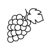 icono de uvas en racimo con hoja en estilo de contorno negro vector