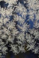 Snowflakes frost rime macro on window glass pane photo
