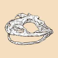 goliath frog skull head vector illustration