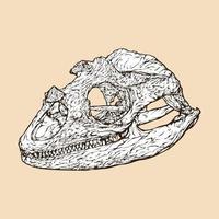 rhino iguana skull head vector illustration