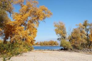 Beautiful autumn landscape with lake and multicoloral trees. Picturesque place with lake and tall trees photo