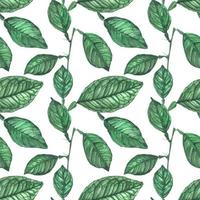 Green Lemon Leaves seamless pattern by traced watercolor vector