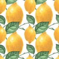 Yellow Lemon seamless pattern by traced watercolor vector