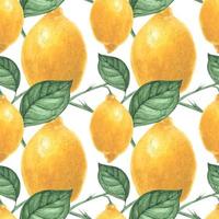 Yellow Lemon seamless pattern by traced watercolor vector