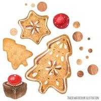 Chocolate and cookie art vector