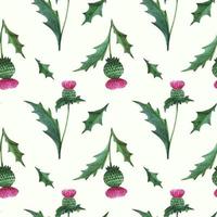 Floral seamless pattern with wild thistle vector