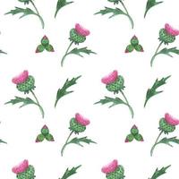 Floral seamless pattern with Scottish wild thistle vector