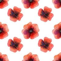 Meadow Poppy Flowers seamless pattern vector